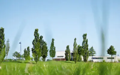 KAAPKE