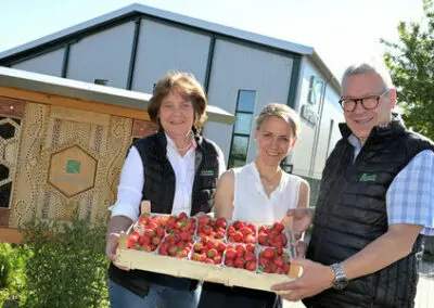 Vielfache Hilfe für Vögel und Insekten im ecopark