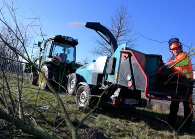 Rückschnitt von Sträuchern bereitet ecopark aufs Frühjahr vor