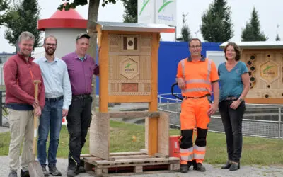 Sonniges Quartier für Insekten an vier Standorten im ecopark