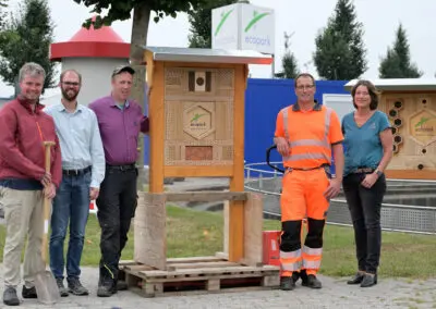 Sonniges Quartier für Insekten an vier Standorten im ecopark