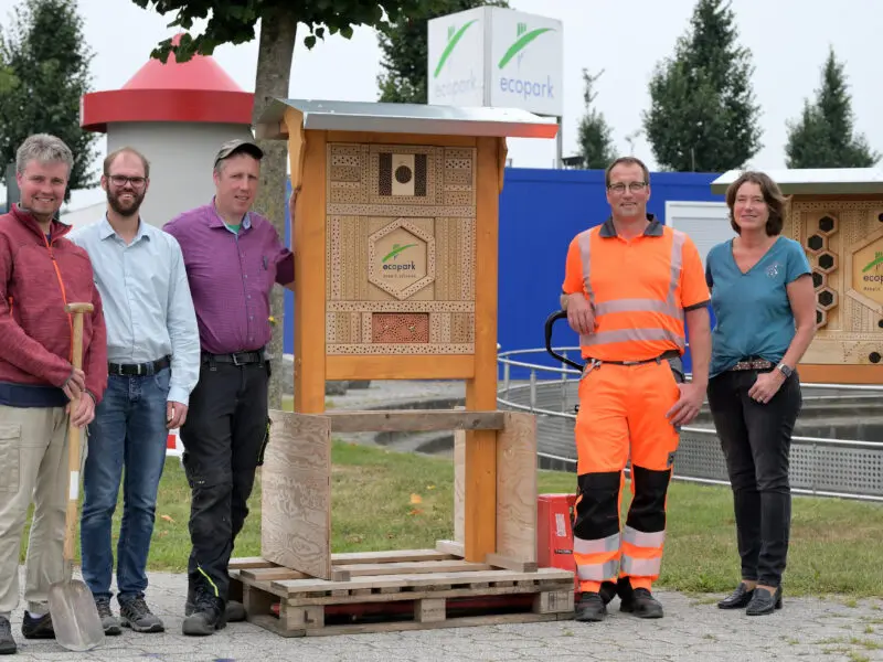 Sonniges Quartier für Insekten an vier Standorten im ecopark