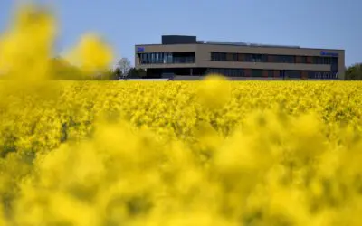 OM-Mediengruppe
